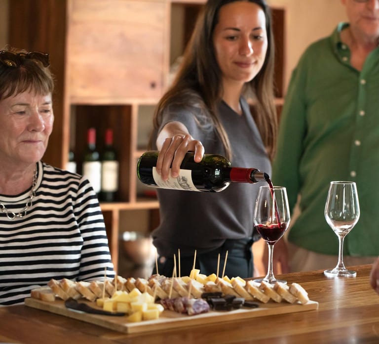 From Bordeaux: Afternoon Saint-Emilion Wine Tasting & snack