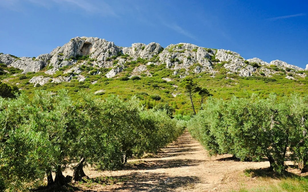 Saint-Rémy-de-Provence, Les Baux-de-Provence & Pont du Gard Small-Group Day Trip Image 3