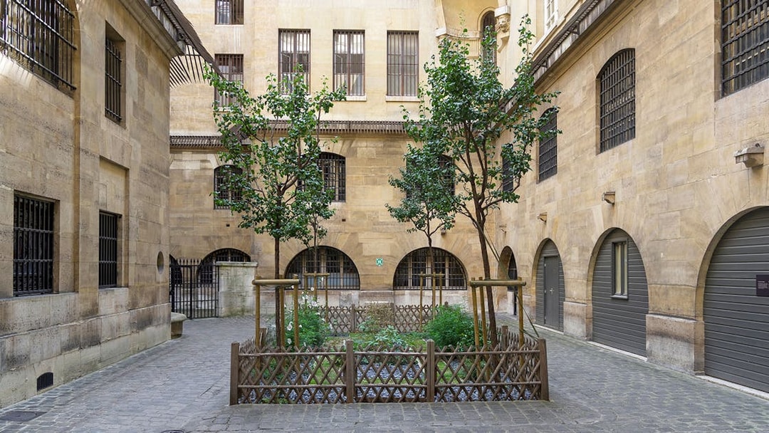 Women’s Courtyard at the Conciergerie in Paris with trees and historic architecture.