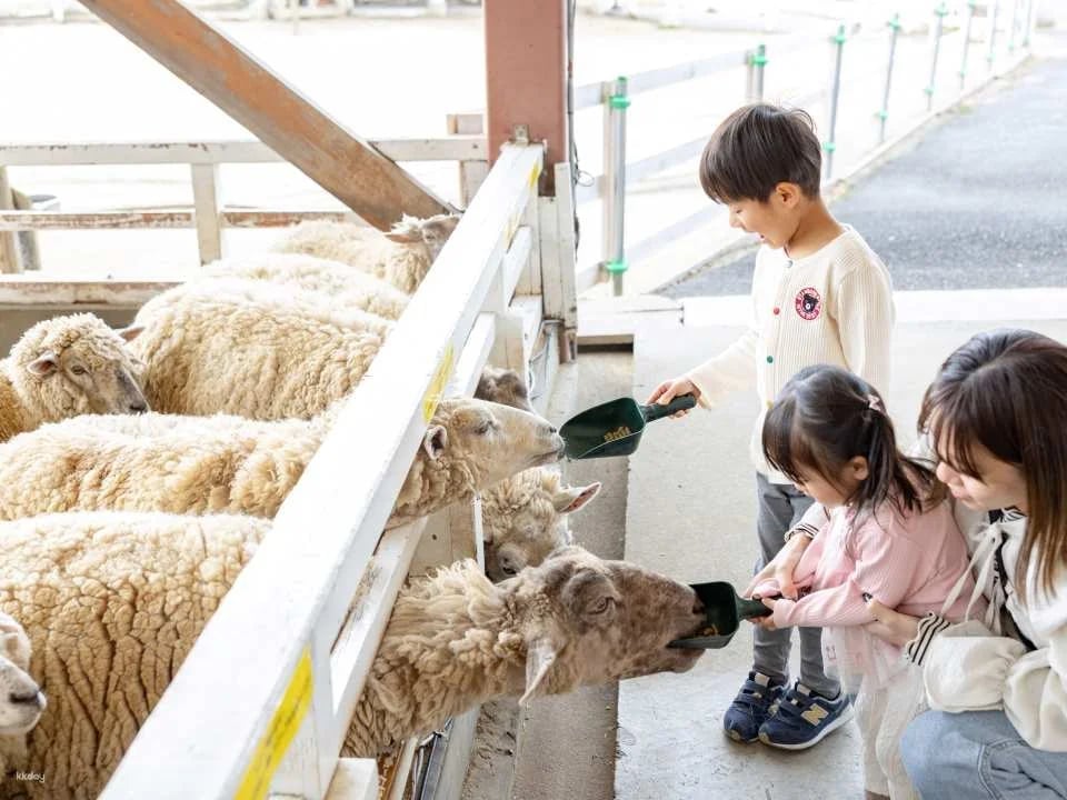 Osaka, Japan | Sakai Green Museum Harvest Hill Natural Farm
