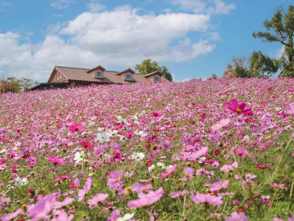 Osaka, Japan | Sakai Green Museum Harvest Hill Natural Farm