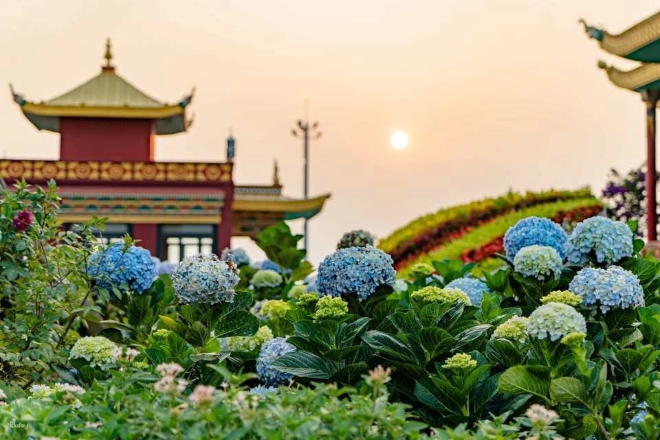 Samten Hills Dalat Ticket | Da Lat - Vietnam