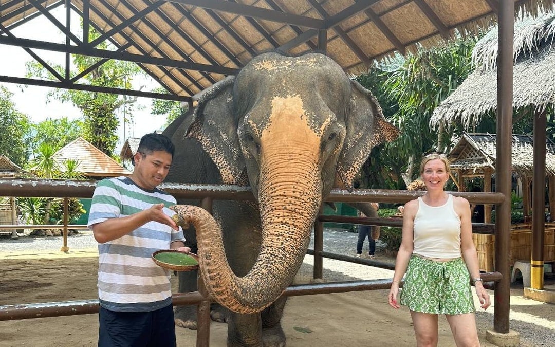 Samui: Feeding Program at the Elephant Home Nursery Image 5
