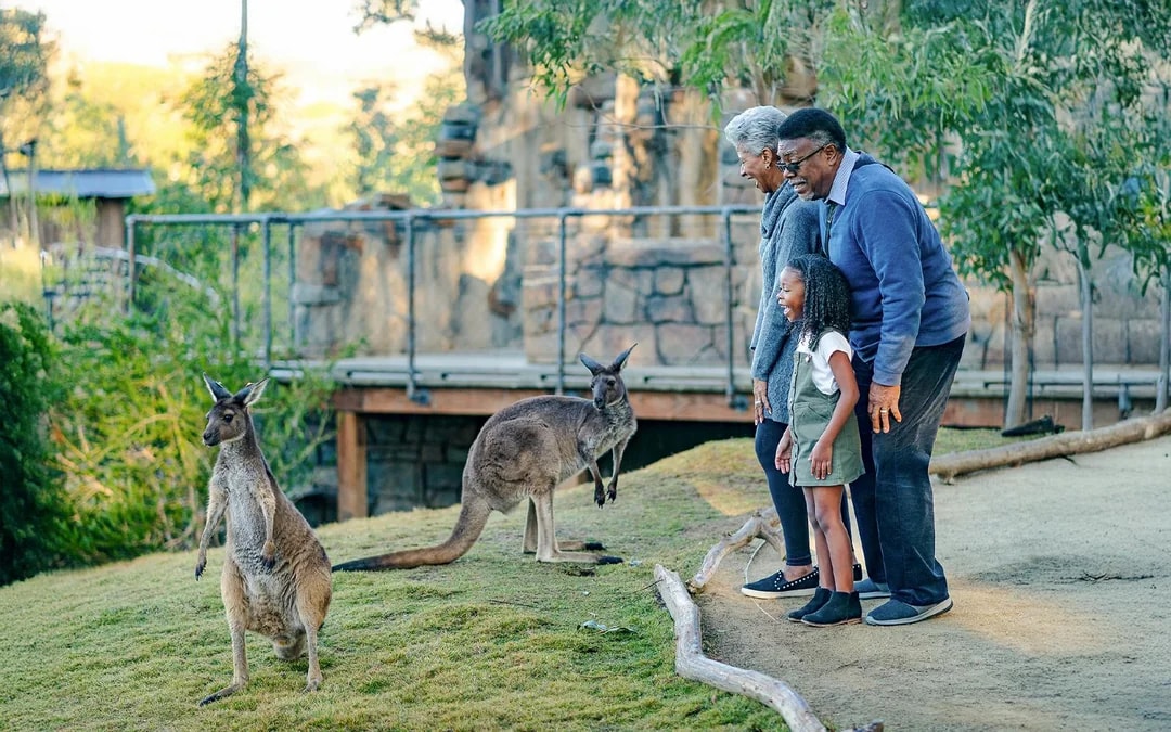 San Diego Zoo & Safari Park 2-Visit Pass Image 5