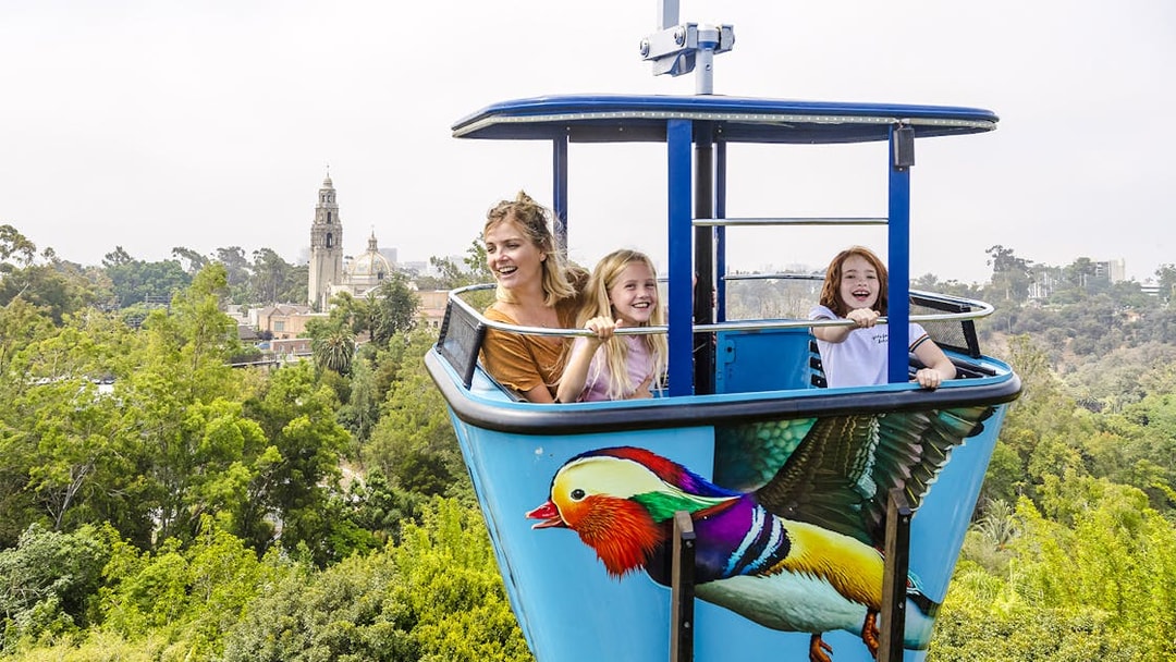 Skytram ride at San Diego Zoo Safari Park with view of lush greenery and distant buildings.
