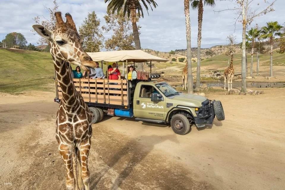 San Diego Zoo Safari Park Admission Ticket | California