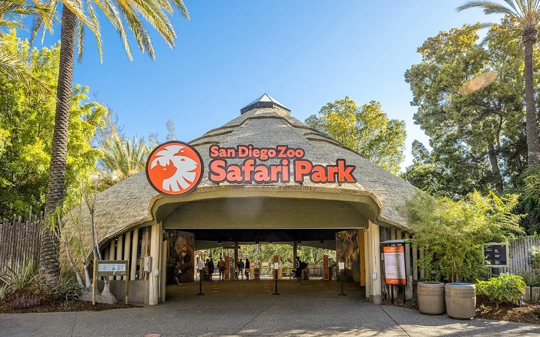 San Diego Zoo Safari Park Tickets Image 6