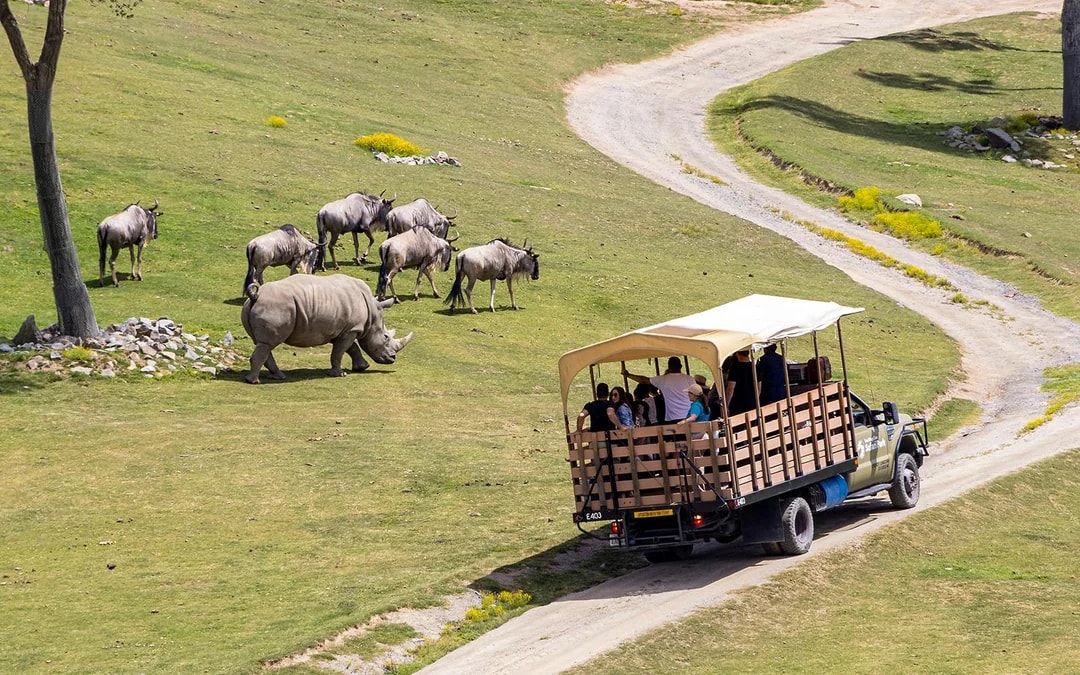 San Diego Zoo Safari Park Tickets Image 7