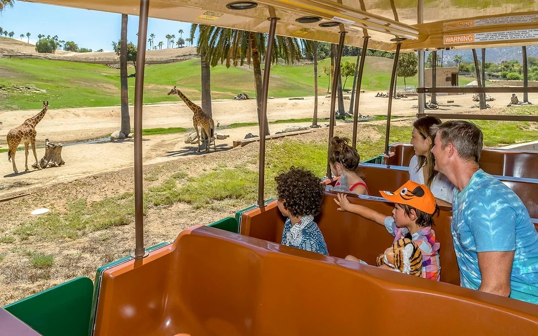 San Diego Zoo Safari Park Tickets Image 1