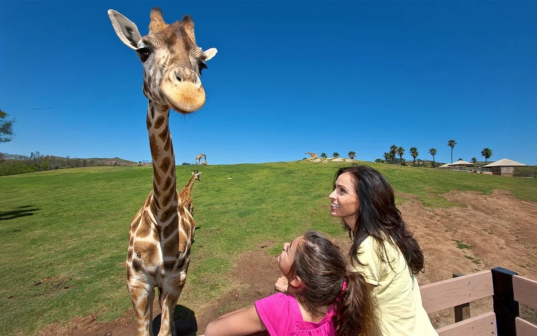 San Diego Zoo Safari Park Tickets Image 10