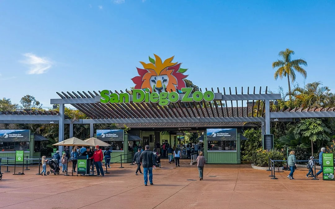 San Diego Zoo Tickets Image 1