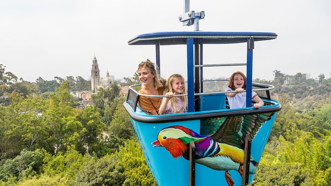 People enjoying the sky tram ride at San Diego Zoo with scenic views.