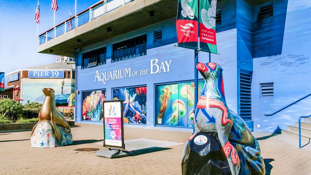 Aquarium of the Bay entrance with sea life murals and sculptures, San Francisco, California.