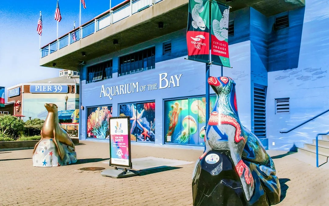 From San Francisco: Alcatraz, Aquarium of the Bay, & Napa/Sonoma Wine Country 2-Day Trip Image 10