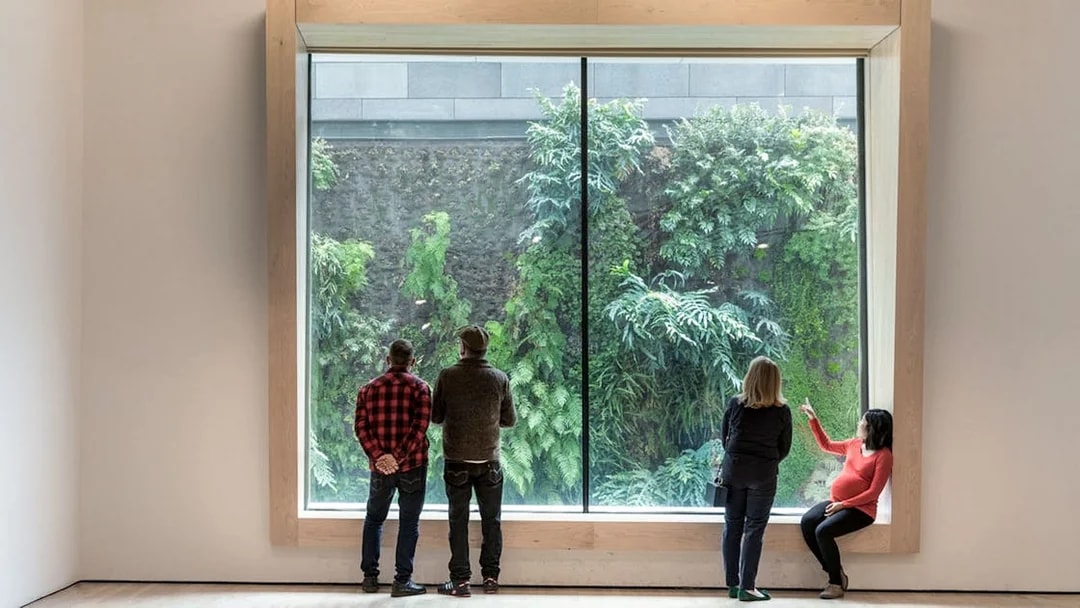 Visitors viewing the living wall at San Francisco Museum of Modern Art.