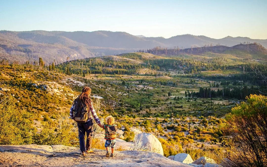 San Francisco To/From Yosemite Multi-Day Transport with Giant Sequoias Hike Image 3