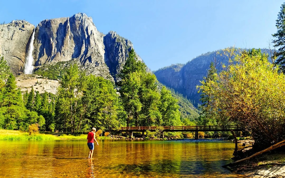 San Francisco To/From Yosemite Multi-Day Transport with Giant Sequoias Hike Image 6