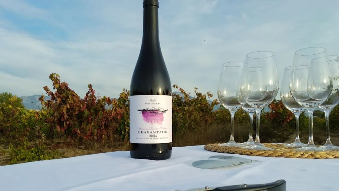 Bottle of Rioja wine and glasses on a table in a vineyard near San Sebastian.