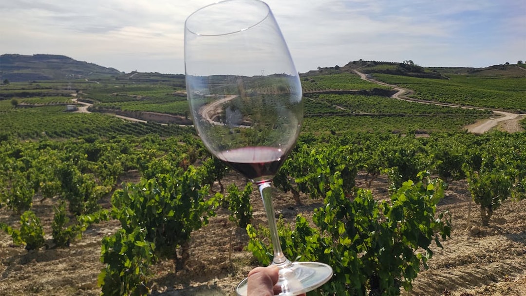 Wine glass held up against Rioja vineyard landscape during San Sebastian winery tour.