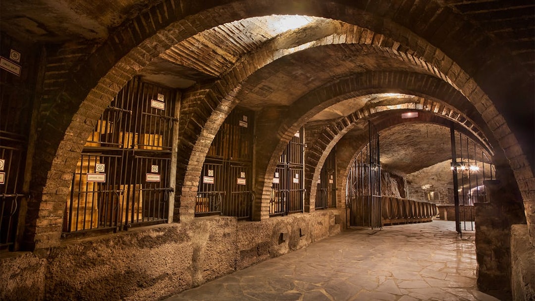 Wine cellar with barrels in a Rioja winery, part of a guided tour from San Sebastian.