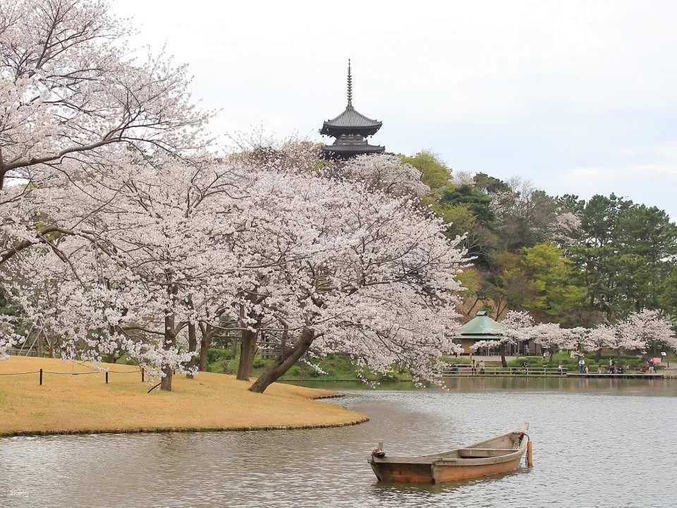 Sankeien Garden Admission Ticket | Instant Confirmation | Yokohama
