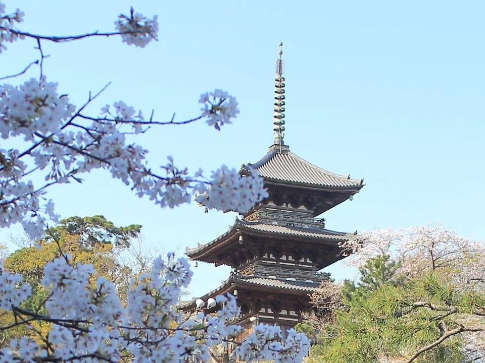 Sankeien Garden Admission Ticket | Instant Confirmation | Yokohama