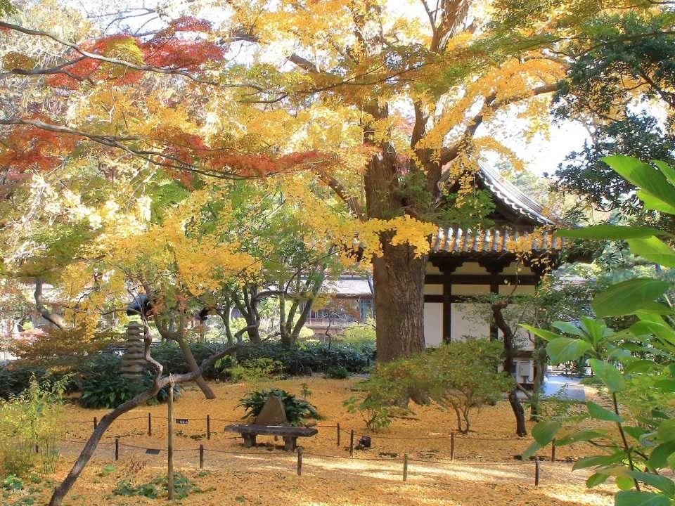 Sankeien Garden Admission Ticket | Instant Confirmation | Yokohama