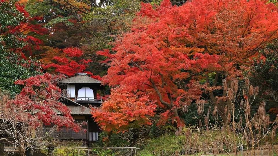 Sankeien Garden Admission Ticket | Instant Confirmation | Yokohama