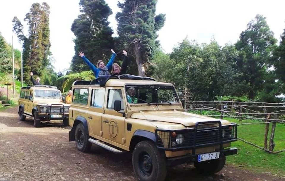 Santana Biosphere Reserve and Arieiro Peak Full Day Open Roof 4x4 Tour