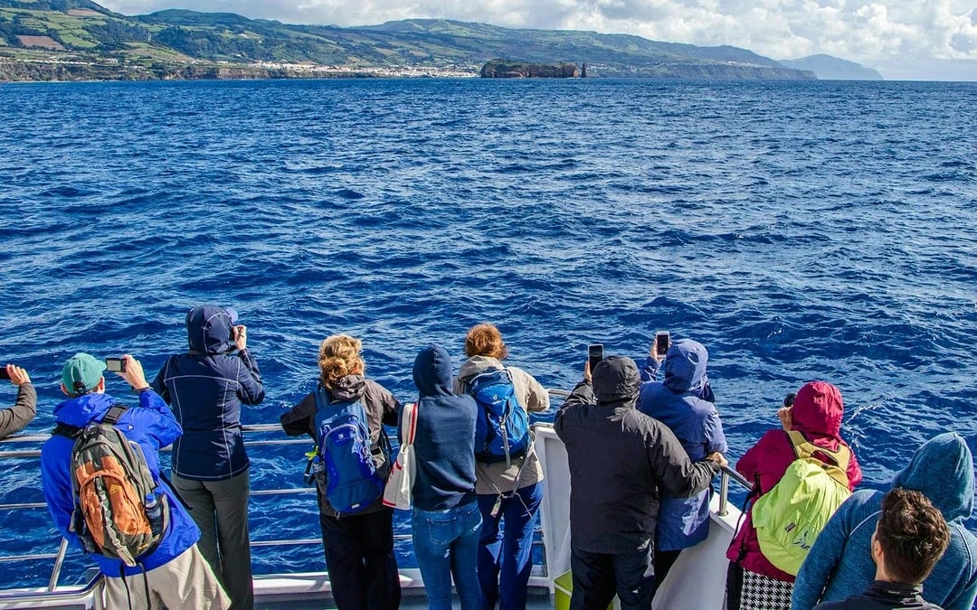 São Miguel: Whale Watching Catamaran Tour Image 1