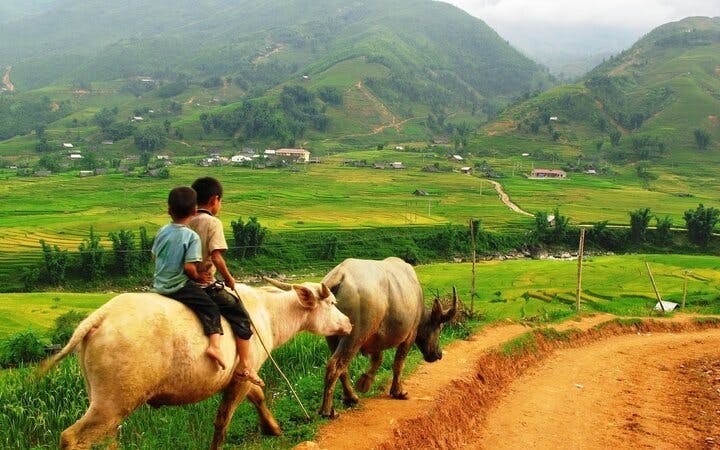 Sapa Guided Trekking Tour of Ta Phin Village and Red Dao Community with Lunch and Return Transport Image 2