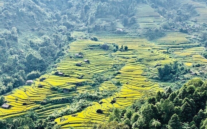 Sapa Guided Trekking Tour of Ta Phin Village and Red Dao Community with Lunch and Return Transport Image 3