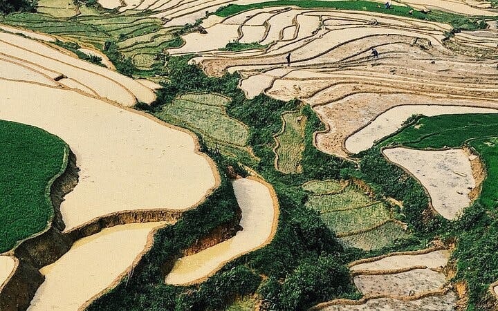 Sapa Guided Trekking Tour of Ta Phin Village and Red Dao Community with Lunch and Return Transport Image 7