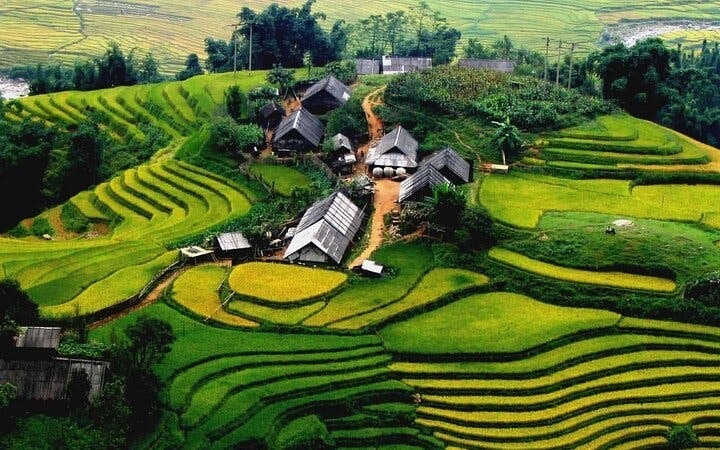 Sapa Guided Trekking Tour of Ta Phin Village and Red Dao Community with Lunch and Return Transport Image 10