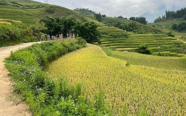 Sapa Muong Hoa Valley Guided Trek to Ethnic Minority Villages and Bamboo Forest with Lunch and Entrance Tickets Image 5