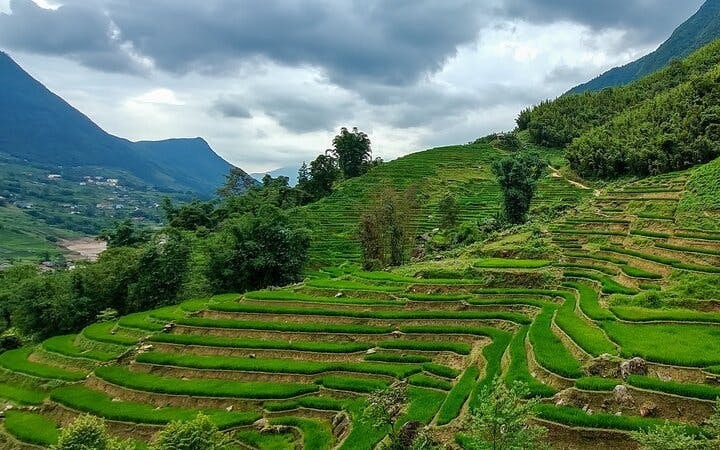 Sapa Muong Hoa Valley Guided Trek to Ethnic Minority Villages and Bamboo Forest with Lunch and Entrance Tickets Image 6