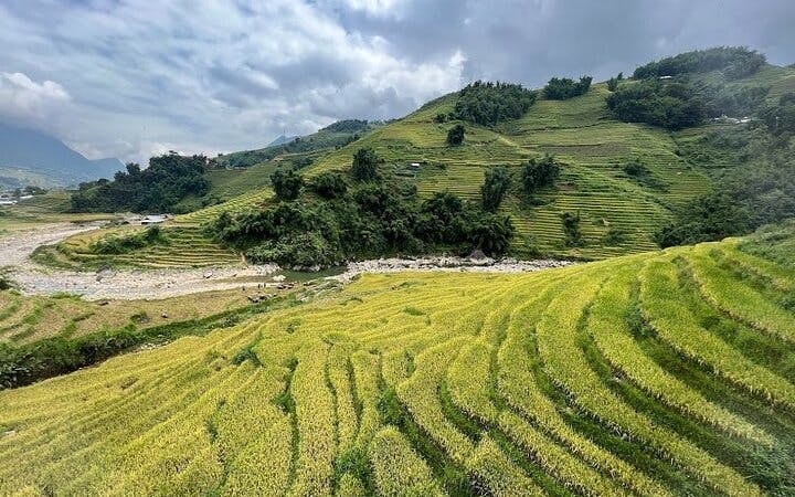 Sapa Muong Hoa Valley Guided Trek to Ethnic Minority Villages and Bamboo Forest with Lunch and Entrance Tickets Image 7