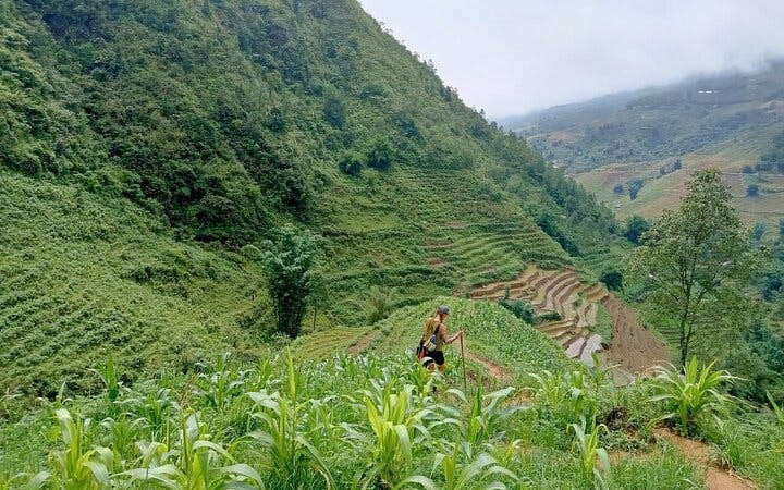 Sapa Muong Hoa Valley Guided Trek to Ethnic Minority Villages and Bamboo Forest with Lunch and Entrance Tickets Image 10