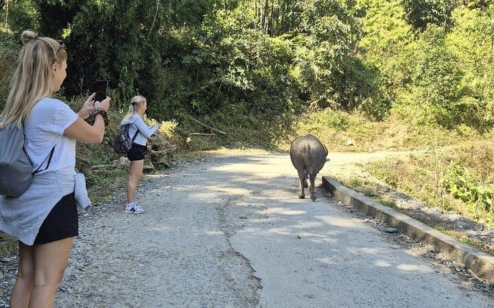 Sapa Private 2-Day Car Tour with Guided Visits and Homestay in Ta Van, Meals Included Image 6