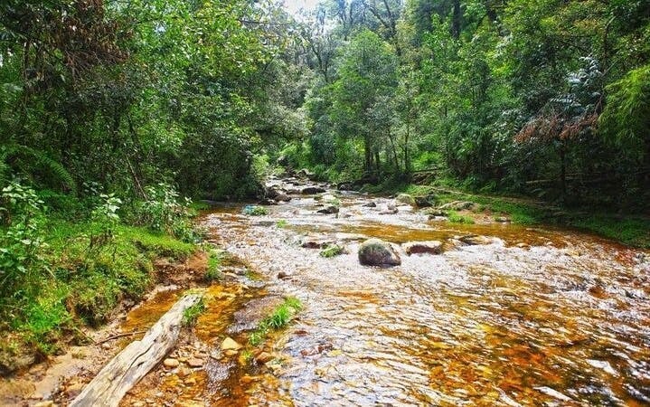 Sapa Private Car Tour: Silver Waterfall, Love Waterfall, and Lonely Tree Entry Tickets Image 6