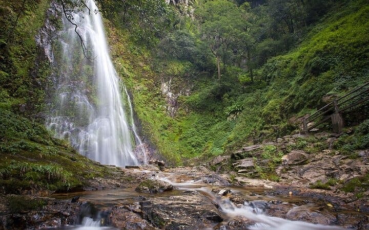Sapa Private Motorbike Tour of Tea Hill, Love Waterfall, Silver Waterfall, and Lonely Tree with English Guide Image 3