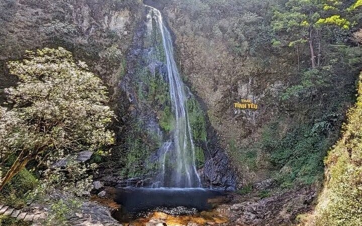 Sapa Private Motorbike Tour of Tea Hill, Love Waterfall, Silver Waterfall, and Lonely Tree with English Guide Image 6