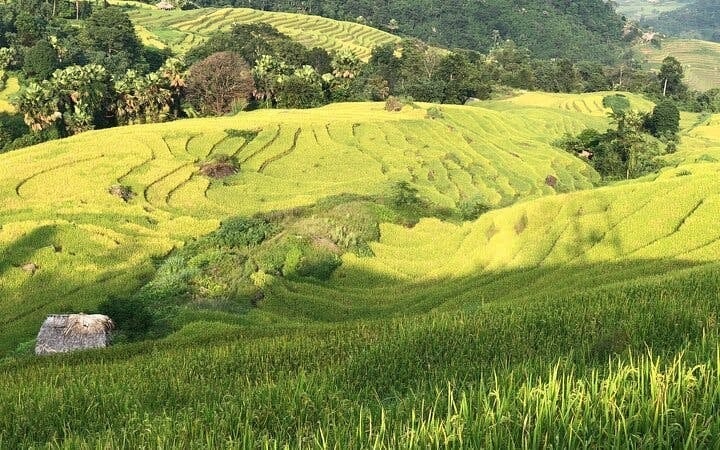 Sapa to Ha Giang Guided Motorbike Tour Including Ethnic Villages, Mountain Passes, Meals, and Accommodation Image 1