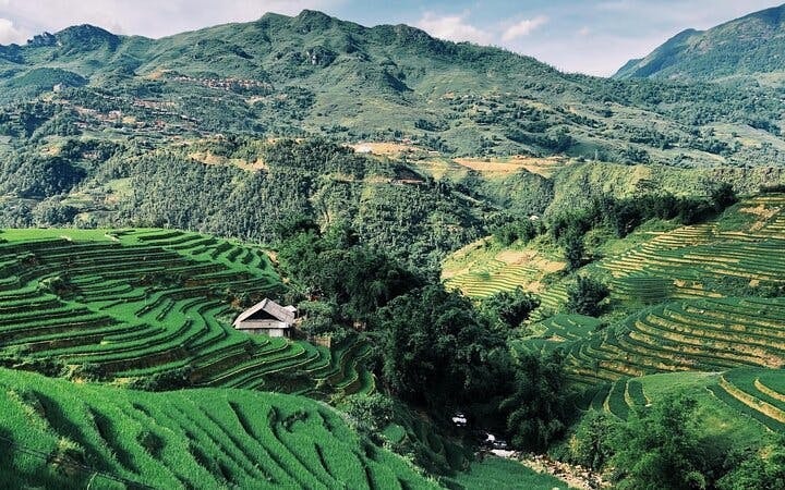 Sapa Trekking Tour with Local Guide and Homestay in Ta Phin Village Image 7