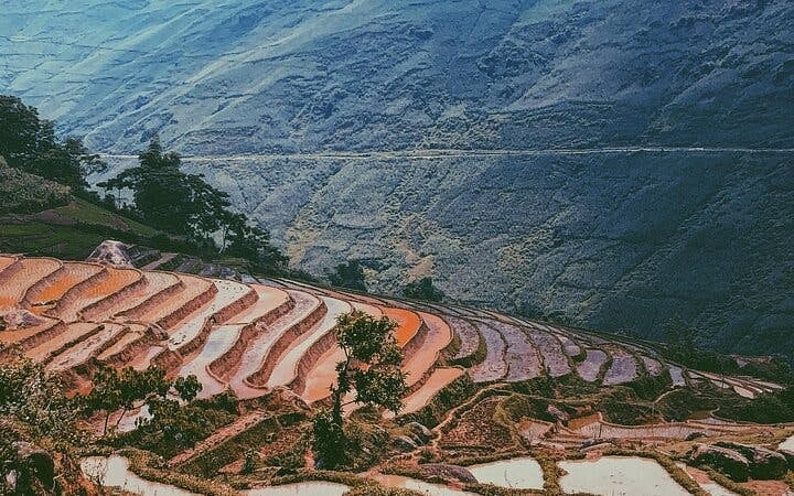 Sapa Trekking Tour with Local Guide and Homestay in Ta Phin Village Image 8
