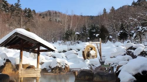 Sapporo classic 1-day tour: Hill of the Buddha + Jozankei Onsen + Hokkaido Jingu + Shiroi Koibito Park Day Tours