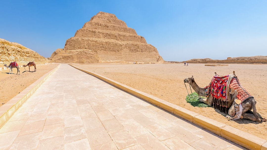 Step Pyramid of Djoser with camels in Saqqara, Egypt.