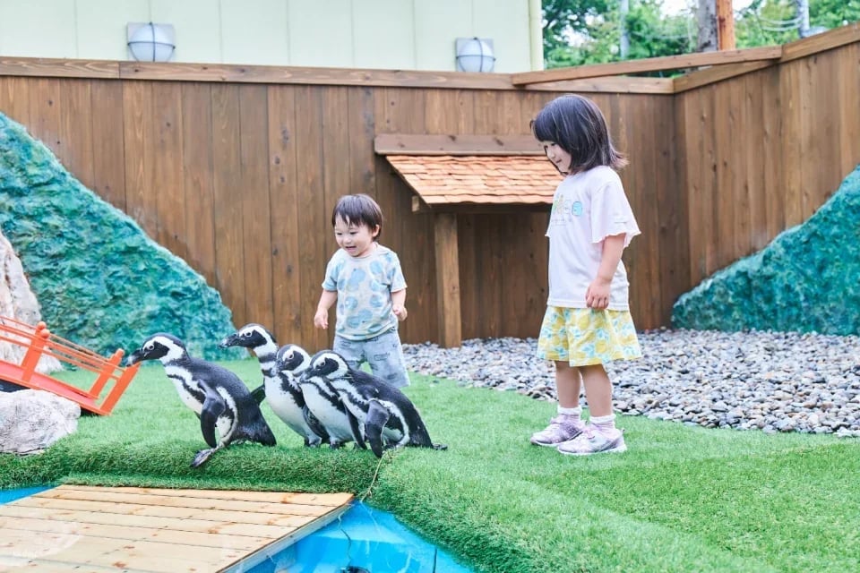 [Up to JPY300 OFF] Saru Land & Anitown (Nikko Saru Gundan) Ticket | Tochigi, Japan