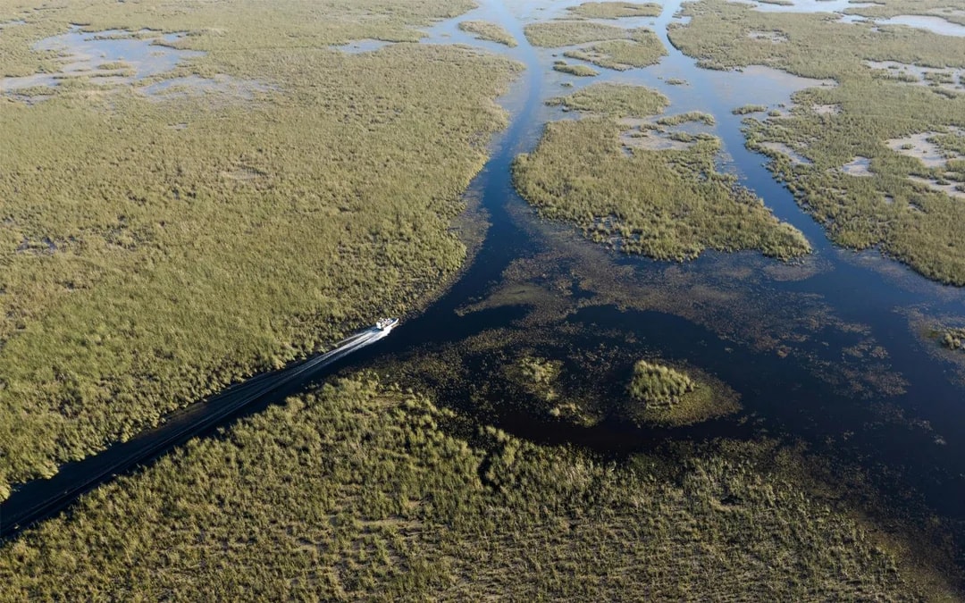 Miami: Sawgrass Recreation Park Airboat Tour with Reptile Exhibit & Optional Transportation Image 2