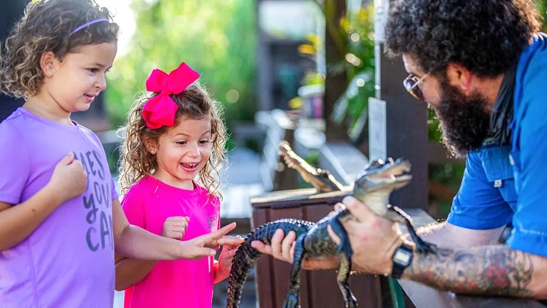 Children interacting with a small alligator at Everglades reptile exhibit.
